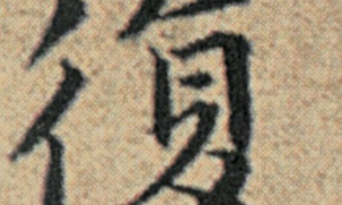 五月茶的功效与作用网一年四季最建议喝的茶知识网站,分享白茶叶的好处和功效与作用大全